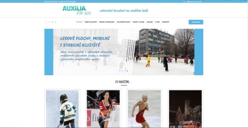 WordPress - AuxiliaOnice.cz